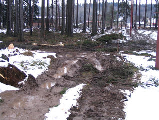 Polom leden 2007